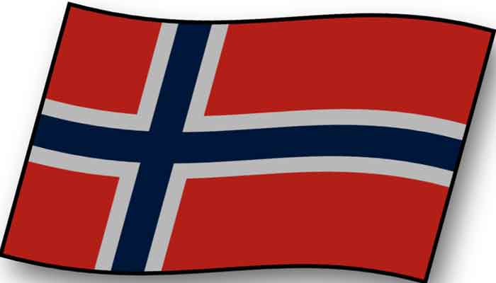 Norske spilleautomater på nett flagga bild